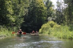 Bild: Natur-Tour in den Rheinauen 